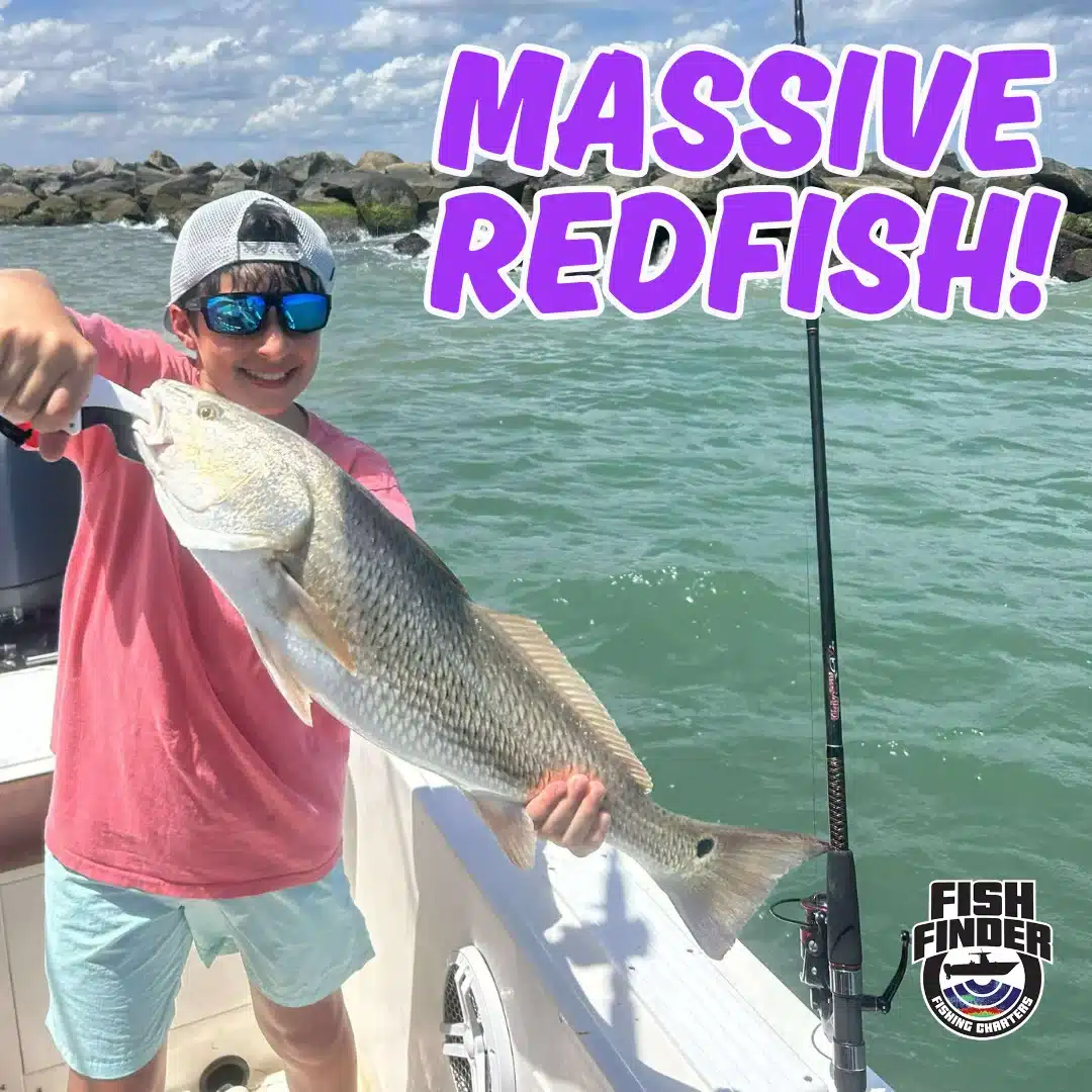 massive-redfish