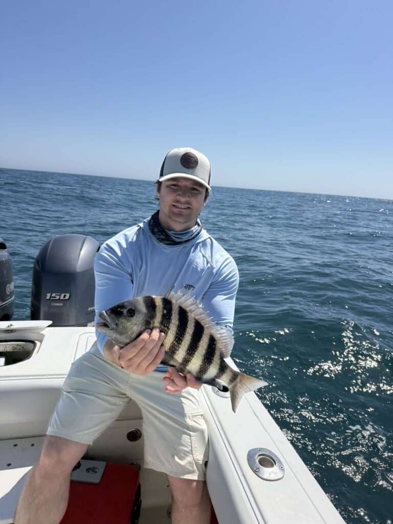 sheepshead, guy in light blue