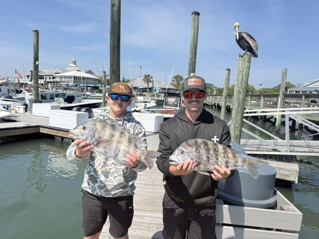 Sheeps head murrells inlet 1