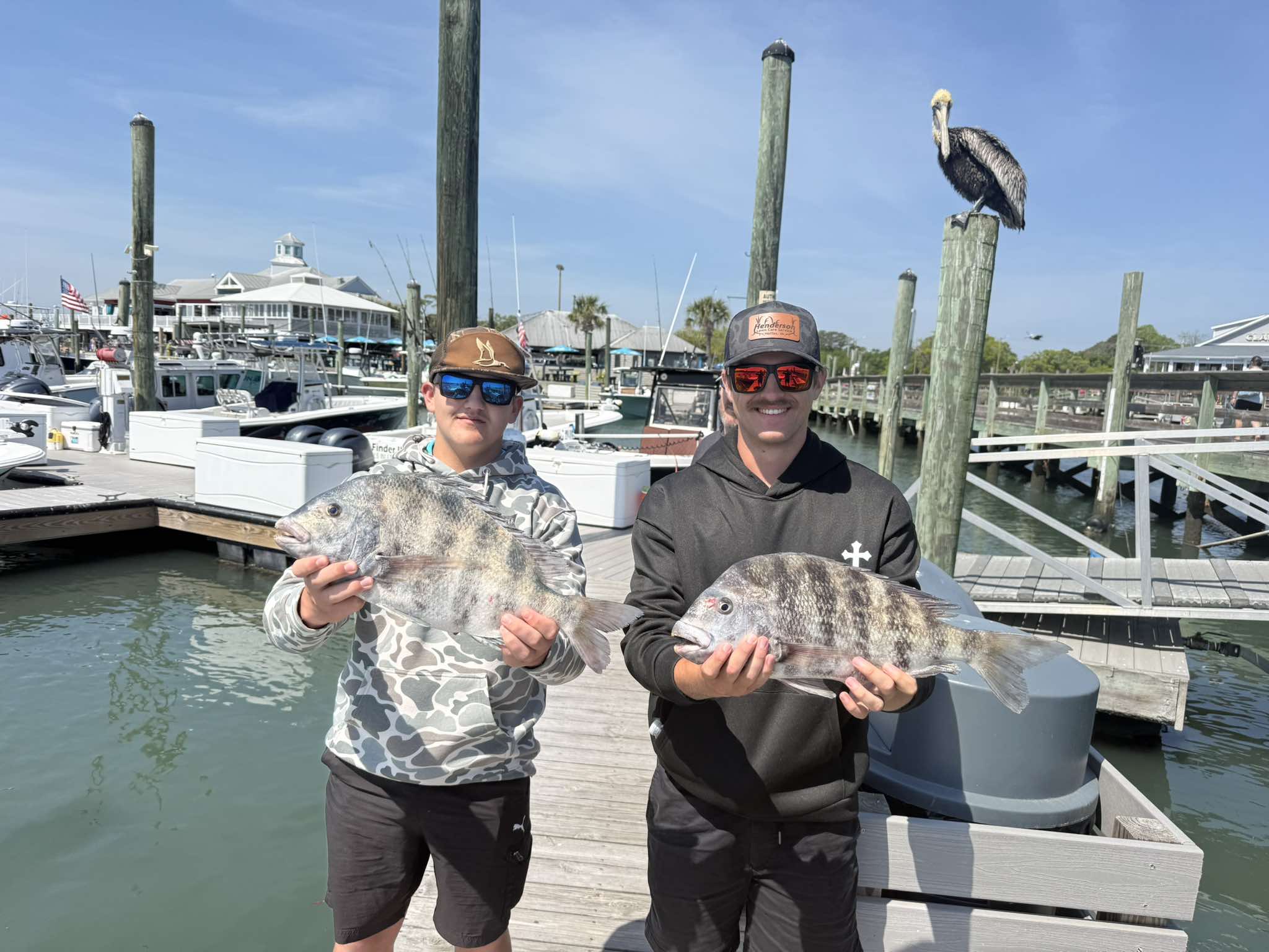 Sheeps head murrells inlet 1