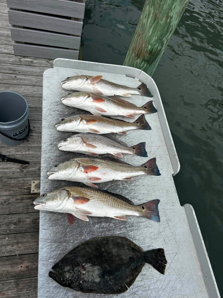 Redfish and flounder